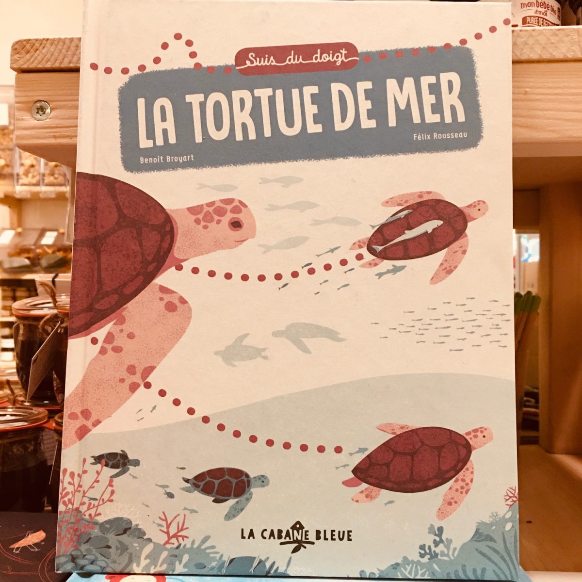 Suis moi du doigt - la tortue de mer