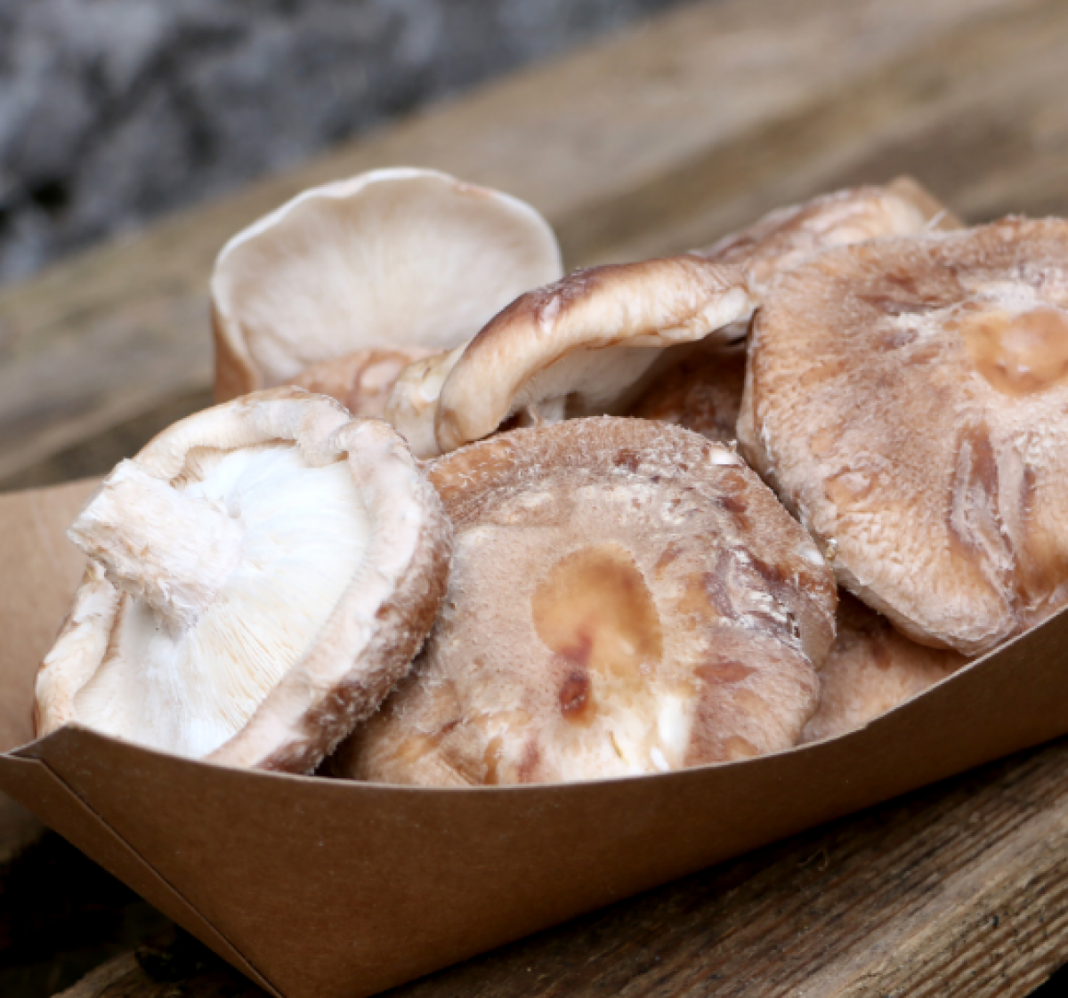 Champignon shiitaké La Bonne Pioche Grenoble