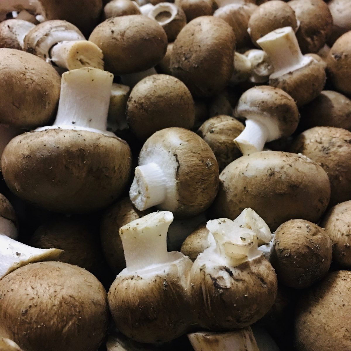 Champignons de Paris La Bonne Pioche Grenoble